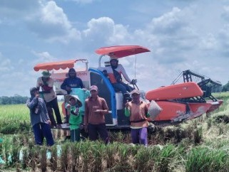 Kegiatan Panen di Desa Karang Jaya Kecamatan Belitang 2 Kabupaten OKU Timur, Sumatera Selatan. 3 April 2024 (ist)