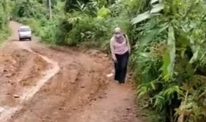 Kades Simpur Ijang, Sustrini