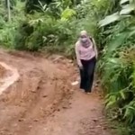 Kades Simpur Ijang, Sustrini