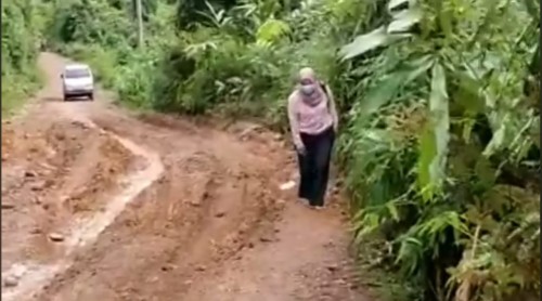 Kades Simpur Ijang, Sustrini