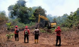 Riau Beruntung: Libur Lebaran Tanpa Kebakaran Hutan dan Lahan