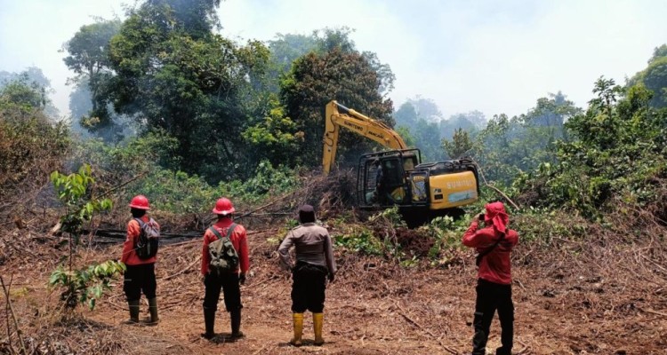 Riau Beruntung: Libur Lebaran Tanpa Kebakaran Hutan dan Lahan
