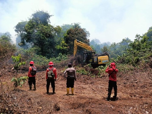 Riau Beruntung: Libur Lebaran Tanpa Kebakaran Hutan dan Lahan