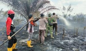 Siaga Karhutla di Riau, 17 Ribu Personel Gabungan Siaga Karhutla