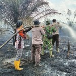 Siaga Karhutla di Riau, 17 Ribu Personel Gabungan Siaga Karhutla