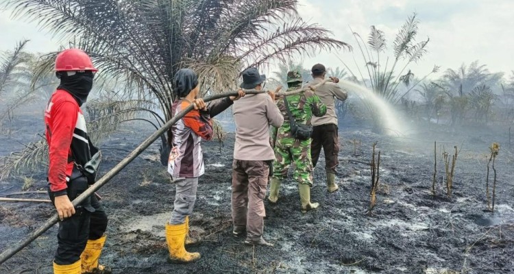 Siaga Karhutla di Riau, 17 Ribu Personel Gabungan Siaga Karhutla