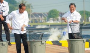 BINS Inovasi Budidaya Ikan Nila di Darat, Diresmikan oleh Presiden Jokowi