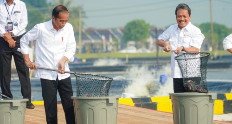 BINS Inovasi Budidaya Ikan Nila di Darat, Diresmikan oleh Presiden Jokowi