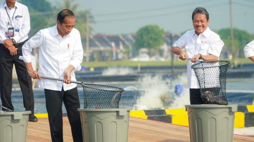 BINS Inovasi Budidaya Ikan Nila di Darat, Diresmikan oleh Presiden Jokowi