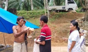 Pemerintah Desa Talang Rami Berbagi Ayam Potong untuk Meningkatkan Ketahanan Pangan