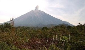 Gunung Semeru Kembali Erupsi, Status Siaga Ditetapkan