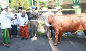 Ribuan Umat Muslim Memadati Masjid Agung Ar-Raudlah untuk Sholat Idul Adha