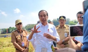 Pilkada Jateng 2024: Presiden Jokowi Serahkan Sepenuhnya pada Parpol