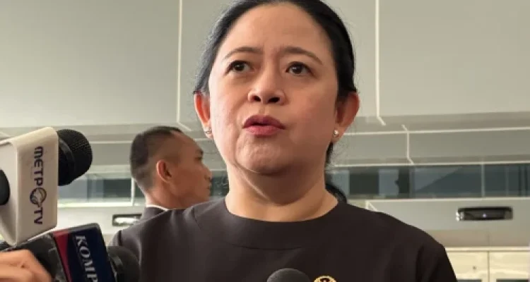 Ketua DPR RI Puan Maharani Serukan Pemerintah Antisipasi Ancaman Pandemi