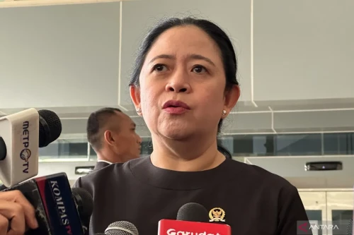 Ketua DPR RI Puan Maharani Serukan Pemerintah Antisipasi Ancaman Pandemi
