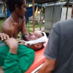 Pekerja HTI di Pelalawan Diserang Harimau Sumatera, Mengalami Luka Serius di Kepala