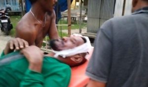 Pekerja HTI di Pelalawan Diserang Harimau Sumatera, Mengalami Luka Serius di Kepala