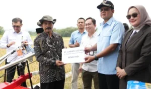 Swasembada pangan nasional