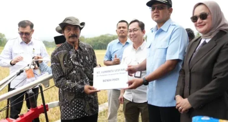 Swasembada pangan nasional