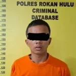 Persetubuhan anak di bawah umur