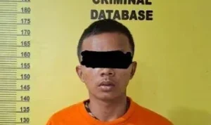 Persetubuhan anak di bawah umur