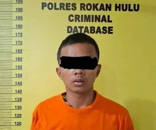 Persetubuhan anak di bawah umur