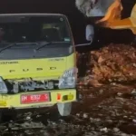 DLH Siak Tancap Gas