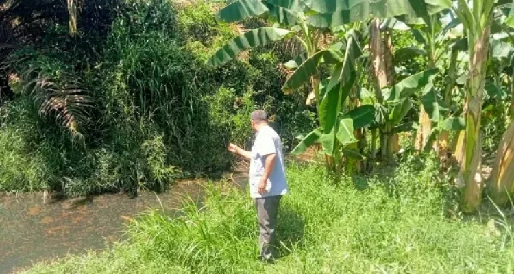 Warga Mengadu Bau dan Limbah