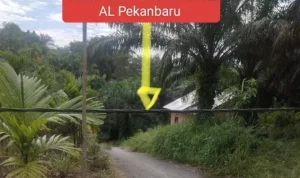 Warga Keluhkan Kabel Listrik