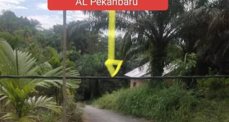 Warga Keluhkan Kabel Listrik