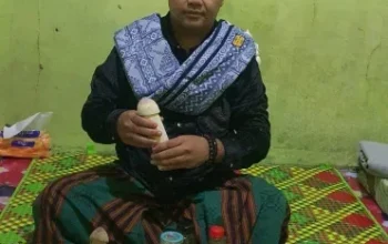 Pengobatan Alat Vital Di Palembang