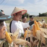 100 Hari Kepemimpinan AMAN, Gebrakan Nyata untuk Kota Pekanbaru