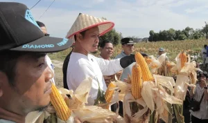 100 Hari Kepemimpinan AMAN, Gebrakan Nyata untuk Kota Pekanbaru