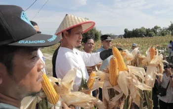 100 Hari Kepemimpinan AMAN, Gebrakan Nyata untuk Kota Pekanbaru