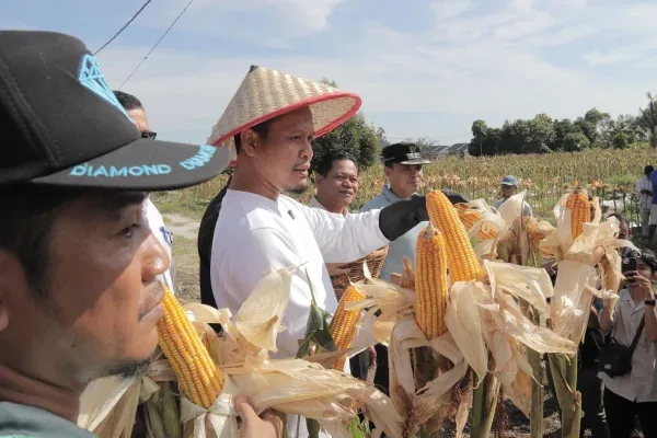 100 Hari Kepemimpinan AMAN, Gebrakan Nyata untuk Kota Pekanbaru