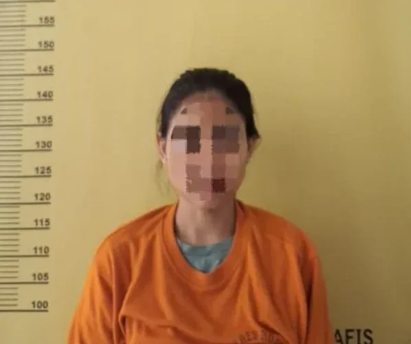 Gelapkan Rp36 Juta Milik Majikan, Karyawan BRILink Diciduk Polsek Tambusai Utara