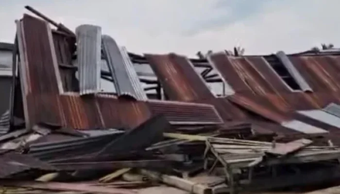 Puting Beliung Terjang Sialang Sakti, Bupati Siak Afni Z Pastikan Penanganan Cepat di Lapangan