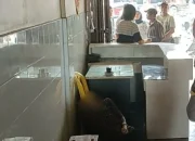 Diduga karena Sakit