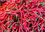 Cabai Merah Keriting di Meranti Melambung