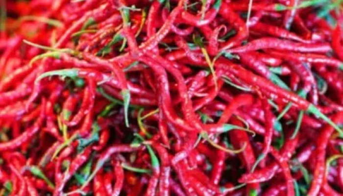 Cabai Merah Keriting di Meranti Melambung: Pedasnya Tak Hanya di Lidah