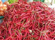 Harga Cabai Merah Tembus Rp100 Ribu, Pemko Pekanbaru Gelar Pasar Murah Tekan Inflasi