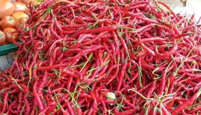 Harga Cabai Merah Tembus Rp100 Ribu, Pemko Pekanbaru Gelar Pasar Murah Tekan Inflasi