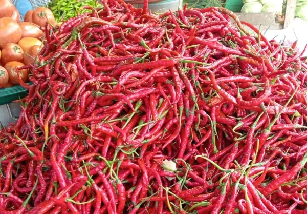 Harga Cabai Merah Tembus Rp100 Ribu, Pemko Pekanbaru Gelar Pasar Murah Tekan Inflasi