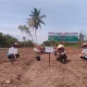 Optimalkan Potensi Alam Disektor Pertanian, Pemdesa Pangkalan Batang Komit Dukung Pangan Nasional