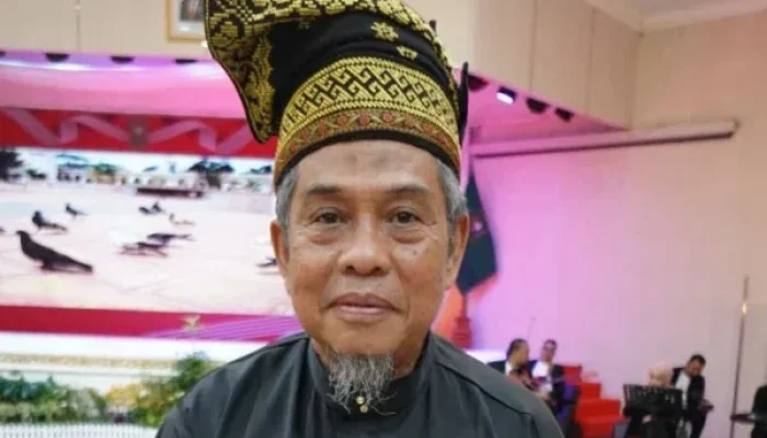 LAM Riau Dorong Pembentukan WPR Usai Ricuh Tambang Emas Ilegal di Kuansing