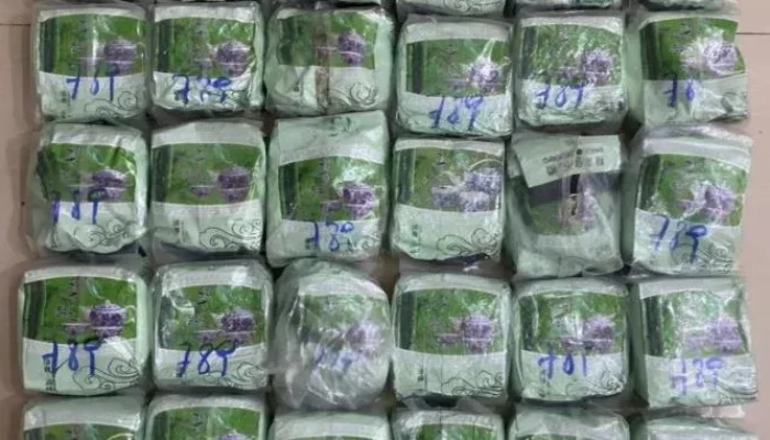 Kurir 30 Kg Sabu Ditangkap, Kombes Putu; Jalur Laut Masih Rute Strategis Sindikat Narkoba