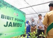 Bank Pohon Diluncurkan di Kampar