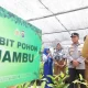 Bank Pohon Diluncurkan di Kampar
