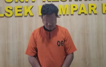 Gelapkan Dana Perusahaan Rp1,1 Miliar, Pegawai di Kampar Diringkus Polisi