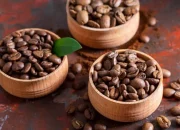 Kopi Liberika Riau, Warisan Rasa Nusantara dari Lahan Gambut